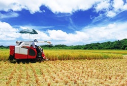 沖縄県の米穀卸みやぎ米屋 田んぼの稲刈り、トラクター稼働