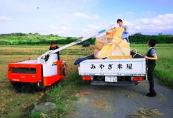 沖縄県の米穀卸みやぎ米屋 稲刈り後のトラック運搬