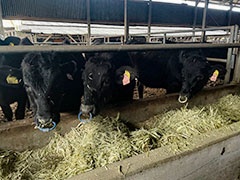 和牛日本一！鹿児島黒牛と鹿児島県産農産物の魅力を首都圏の一流シェフとバイヤーが発信！